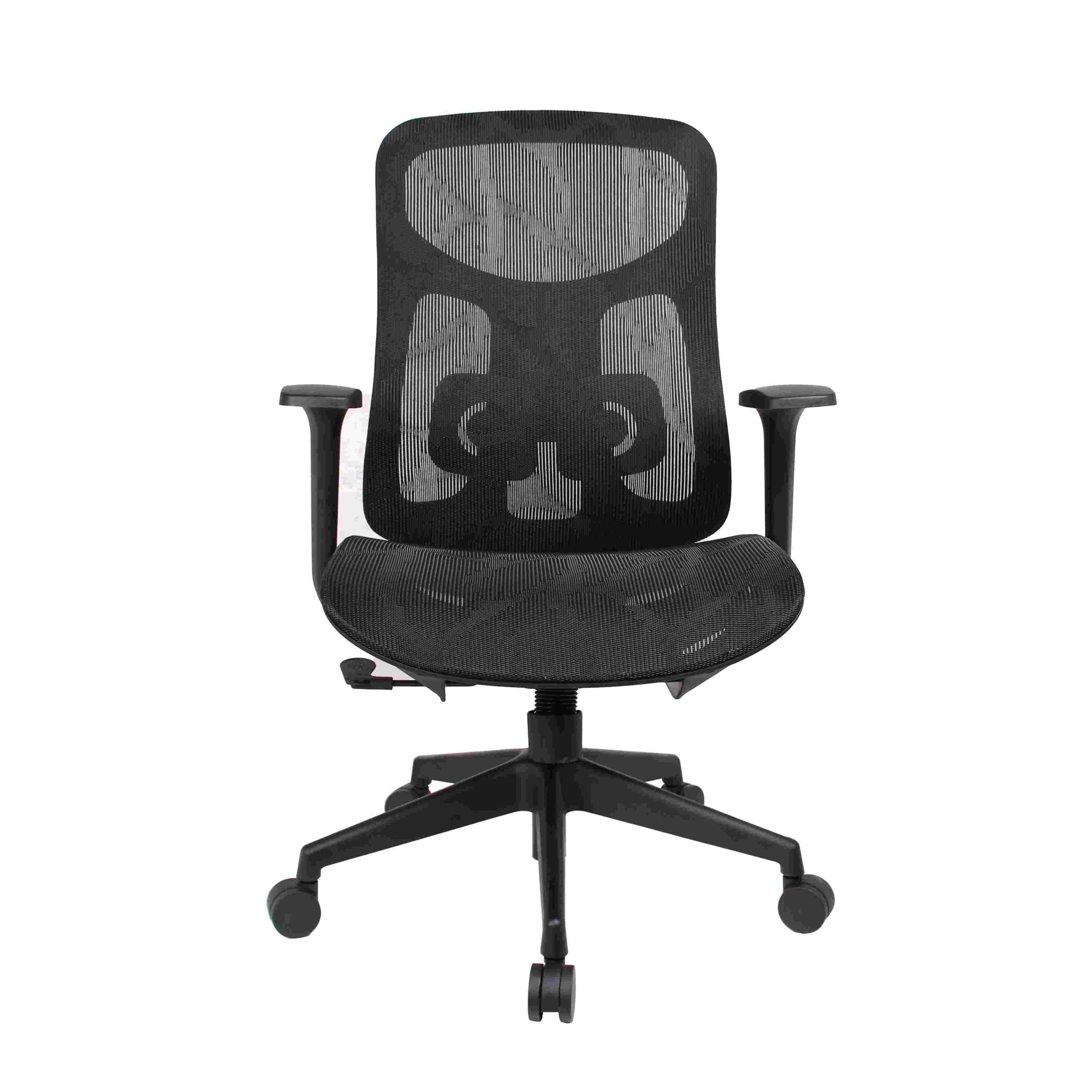 Ergonomic Chair 6033B