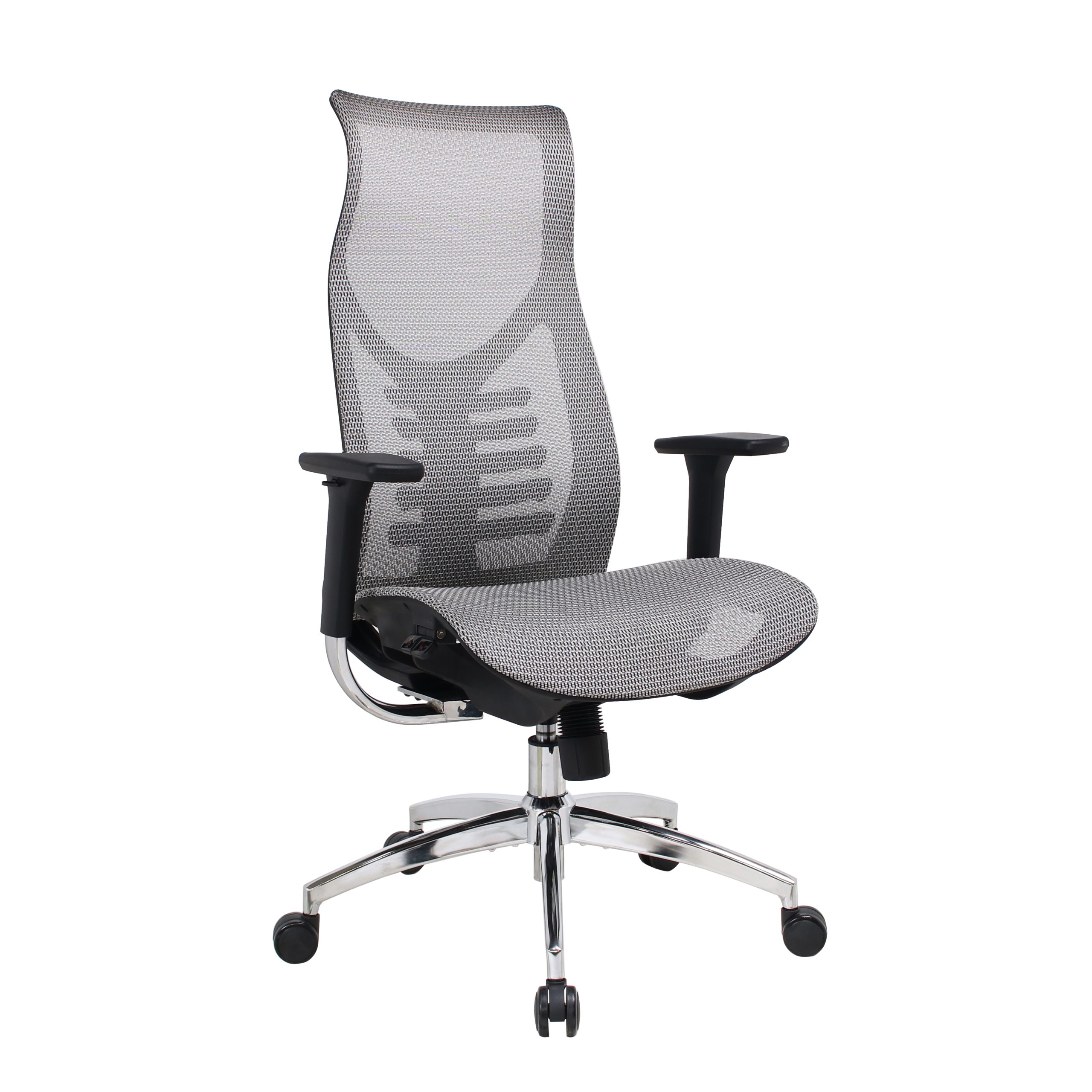 Ergonomic Chair GM13