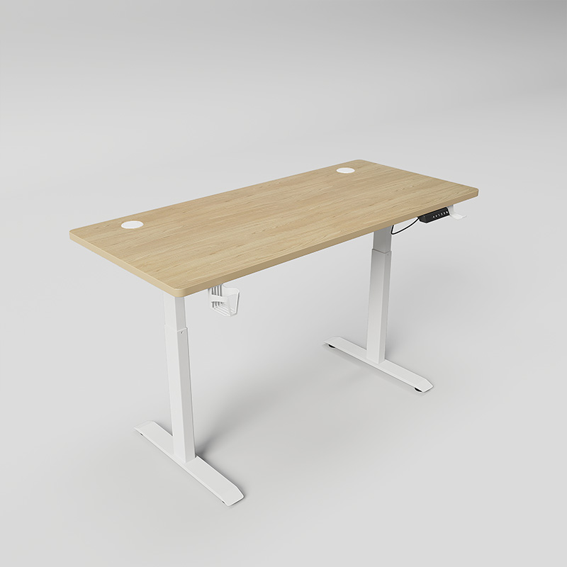 Luxury Electric Standing Desk with Higher Speed Adjustable Height for Home or Office