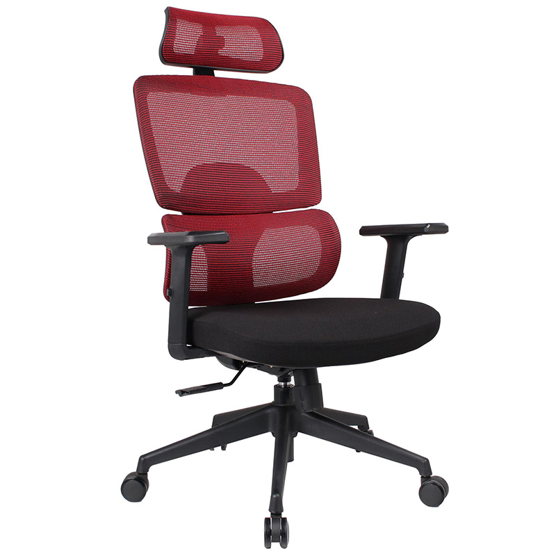 Premium High Back Ergonomic Office Chair with Adjustable Features