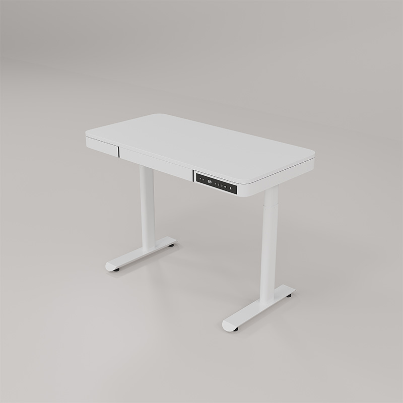 Modern Executive Standing Desk with Three-level Memory and Electric Height Adjustment