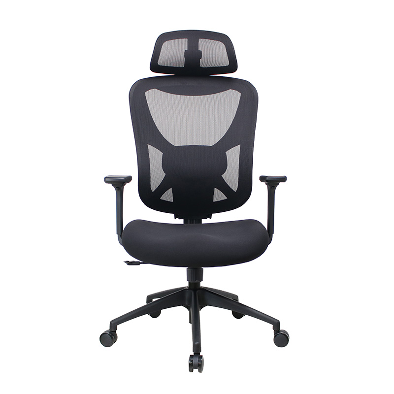 Back Support Ergonomic Office Chair