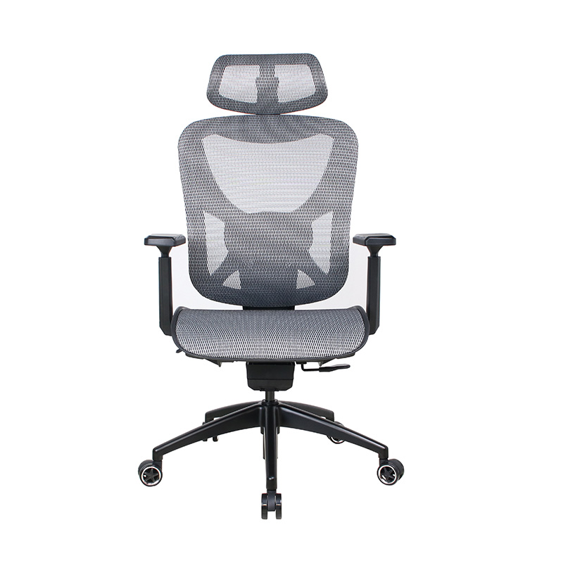 Premium Aluminum Alloy Ergonomic Office Chair with Adjustable Features